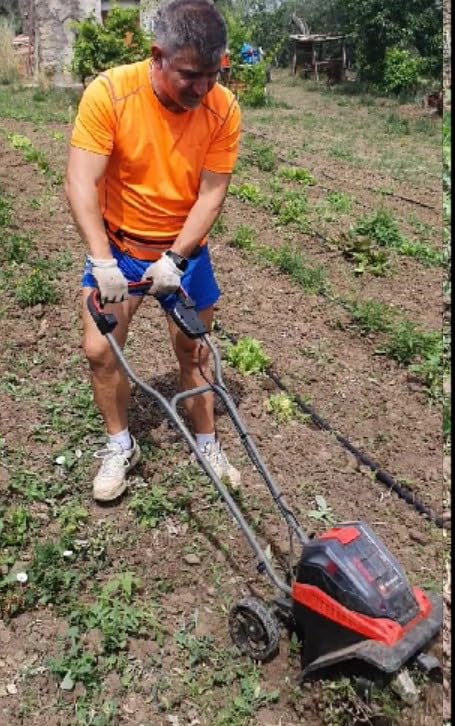 El mejor cuidado para el césped