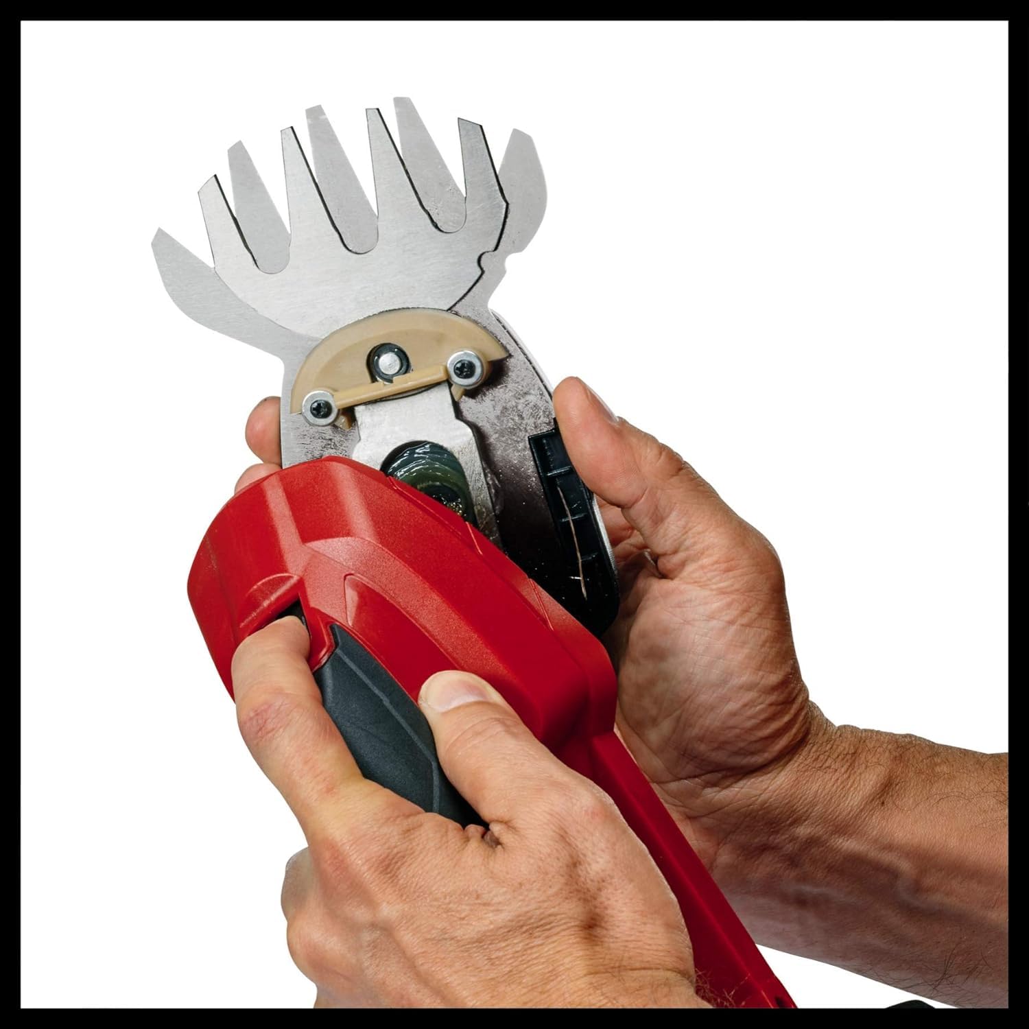 einhell-gc-cg-18-li-solo-power-x-change-tijera-de-c-sped-y-arbustos-a-bater-a-18 image 8
