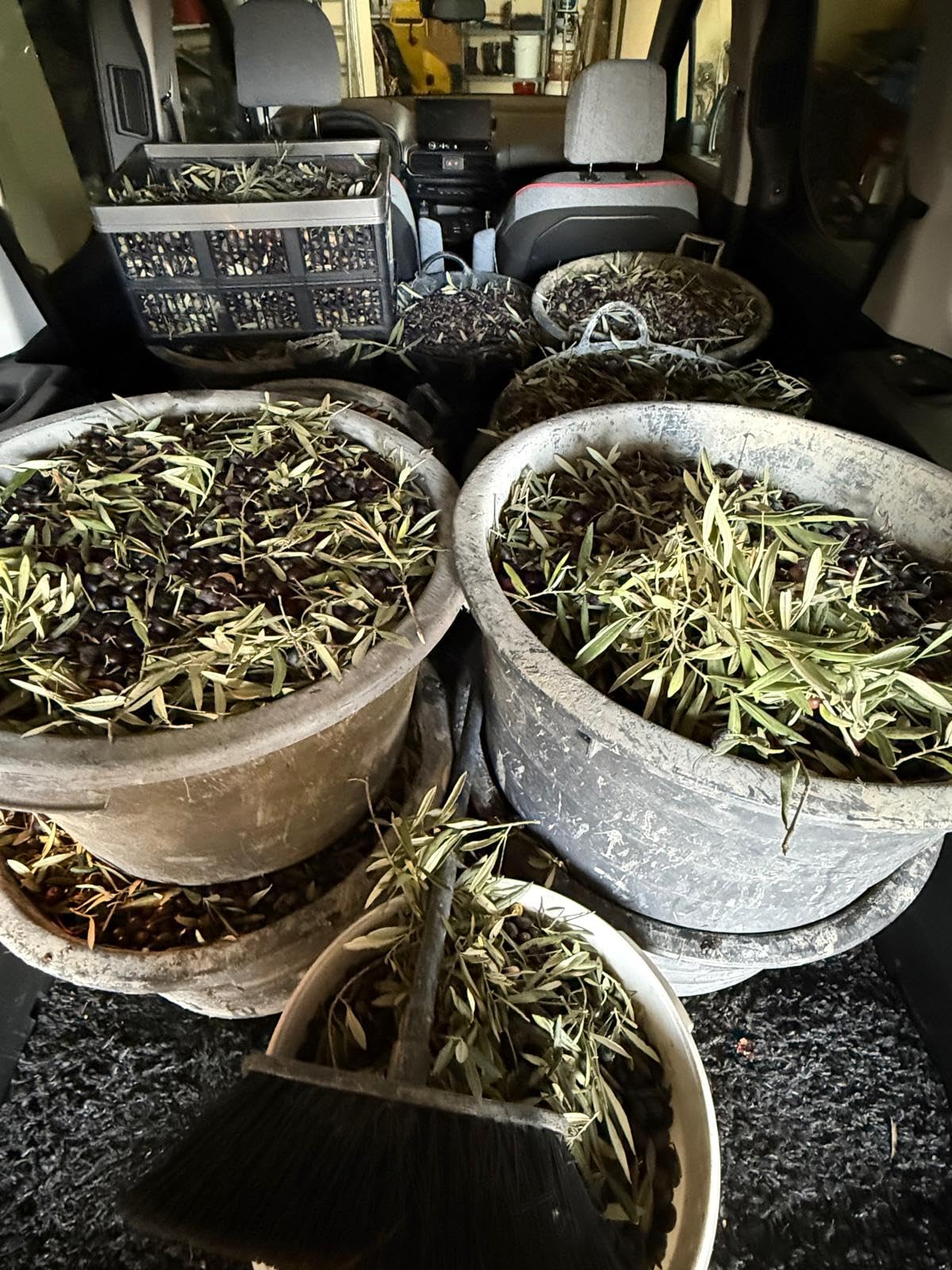 Ideal para aceituna de mesa