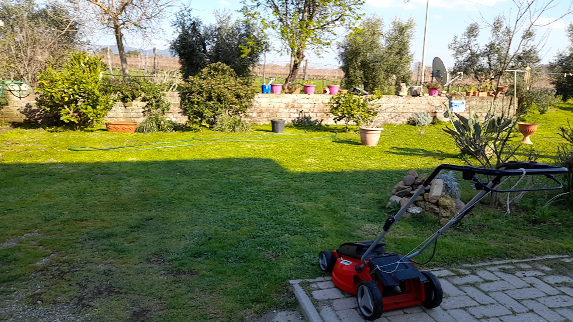 Perfecto para jardín mediano