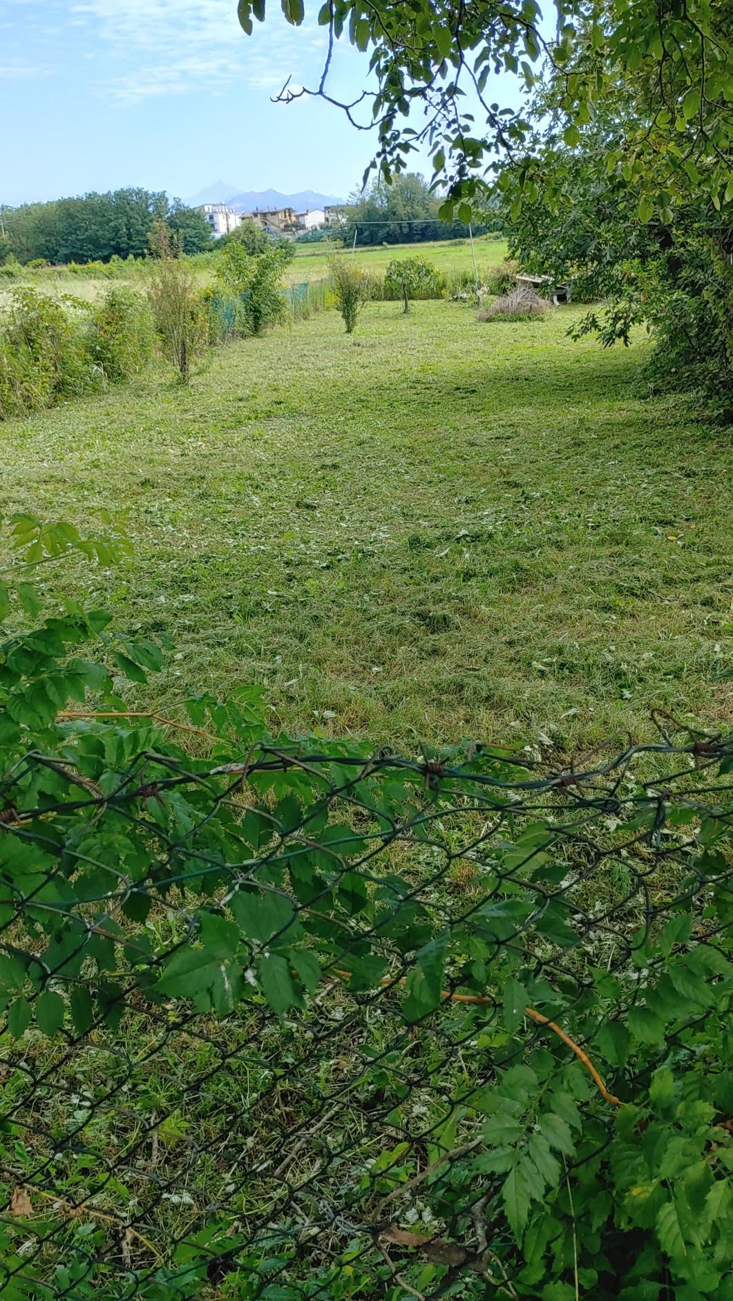 Arranca a la primera