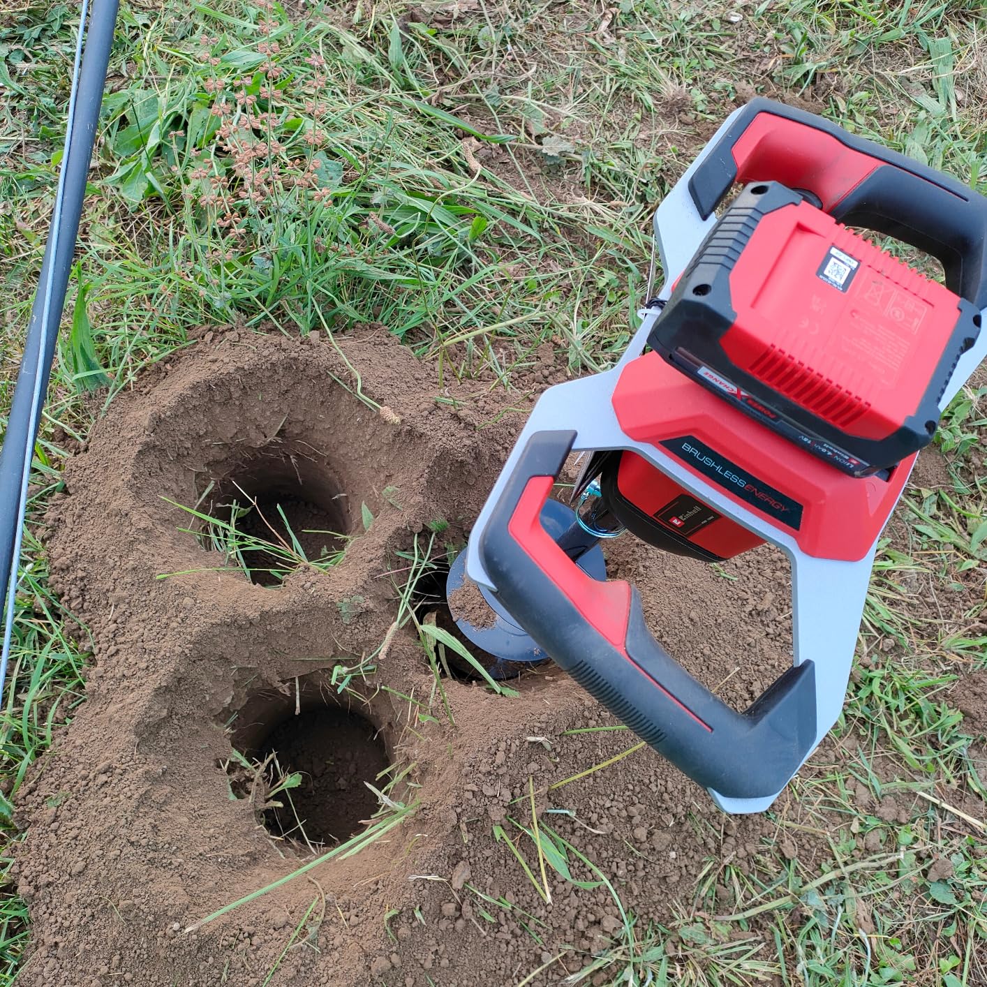 Plantar árboles es ahora facilísimo