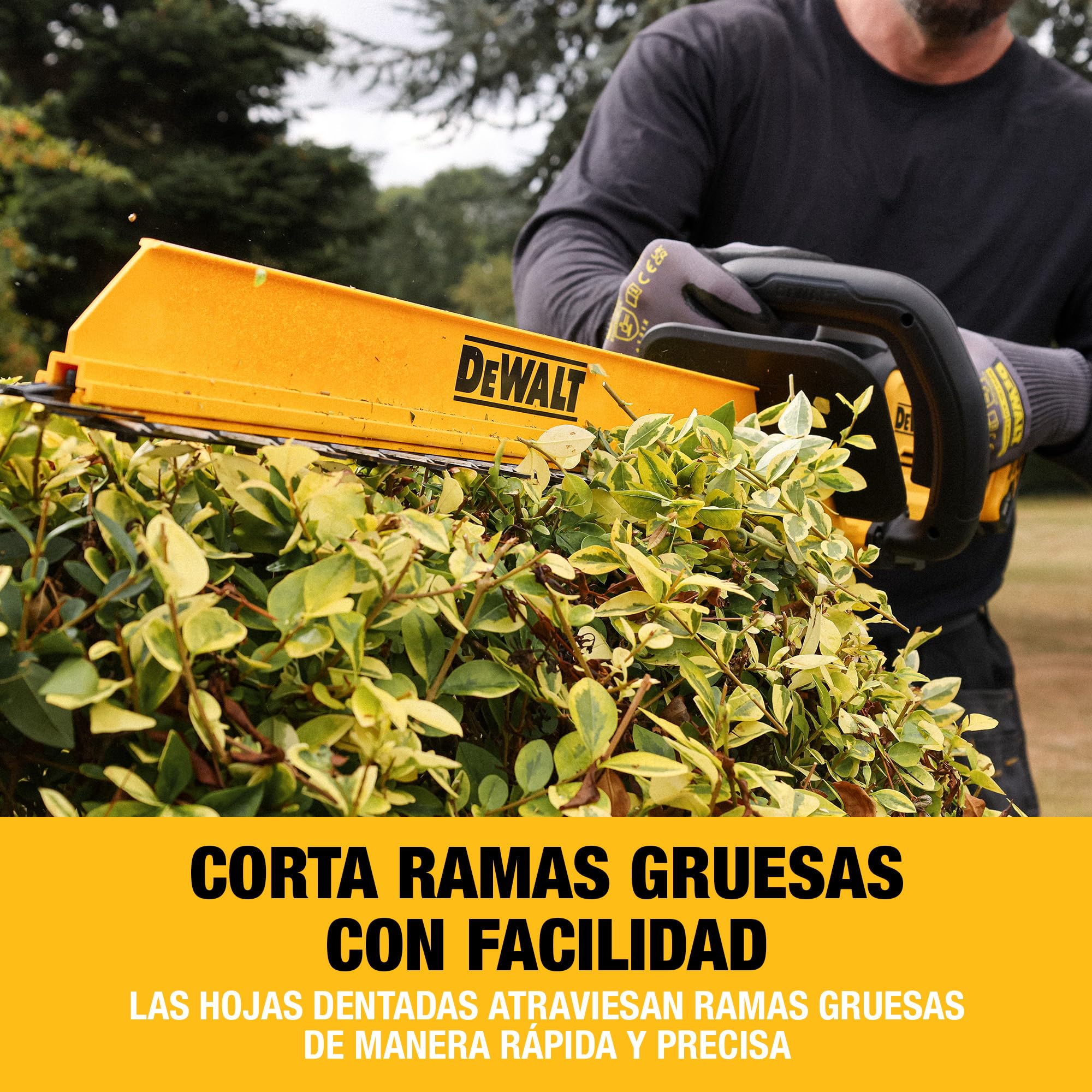 dewalt-dcmht567n-xj-cortasetos-sin-escobillas-18v-xr-espada-de-60-cm-separaci-n- image 2