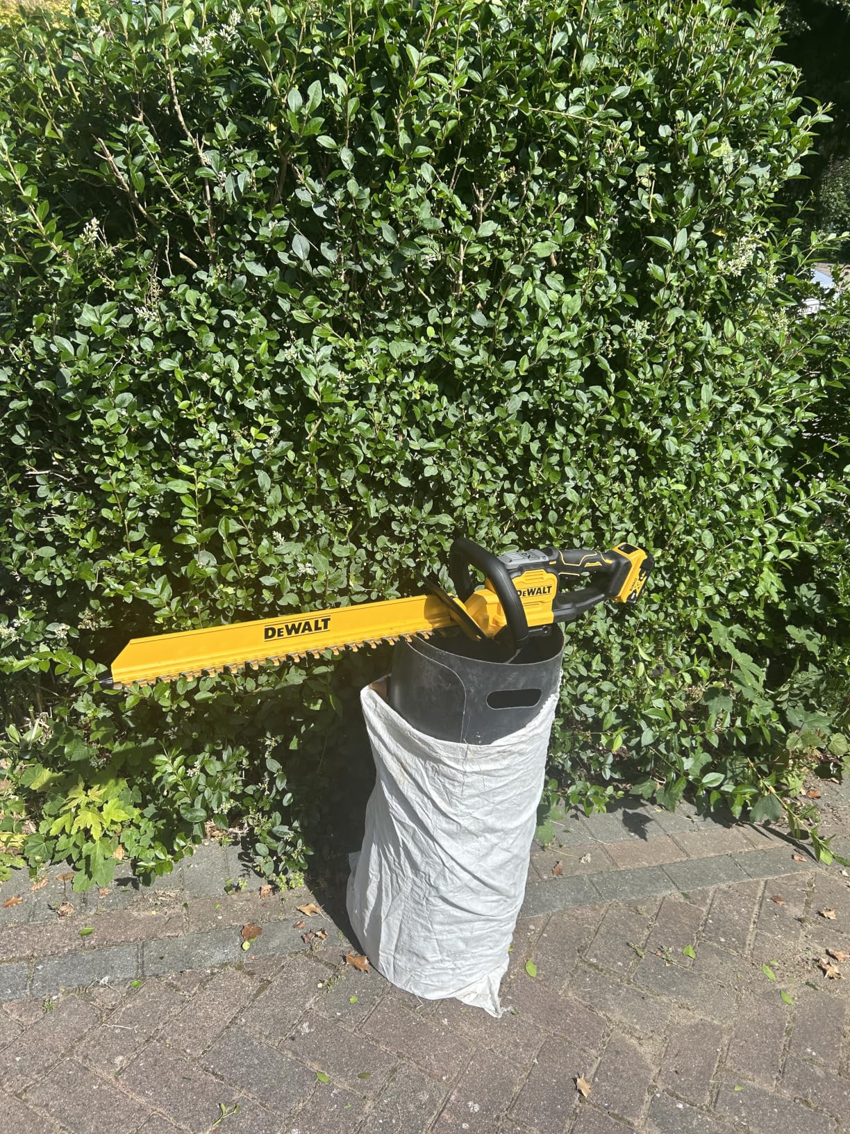 Llegó con la hoja desalineada